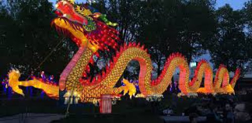 South Asia celebrates Lunar New Year amid Covid-19