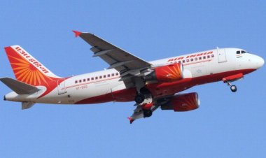 Air India: Struggling national carrier sold to Tata Sons
