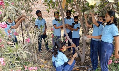 चाइल्ड इंग्लिश करियर स्कूल ने केला आगळा वेगळा उपक्रम पक्षांना अन्न व पाण्याची केली सुविधा वाचा सविस्तर वृत्तांत.