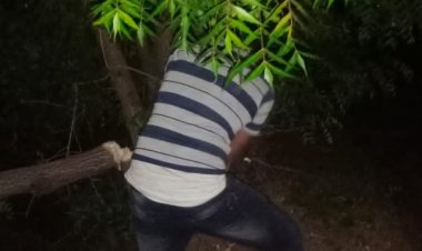 रात्रीच्या घोर काळोखात महावितरण कर्मचाऱ्यांनी बजावले कर्तव्य.