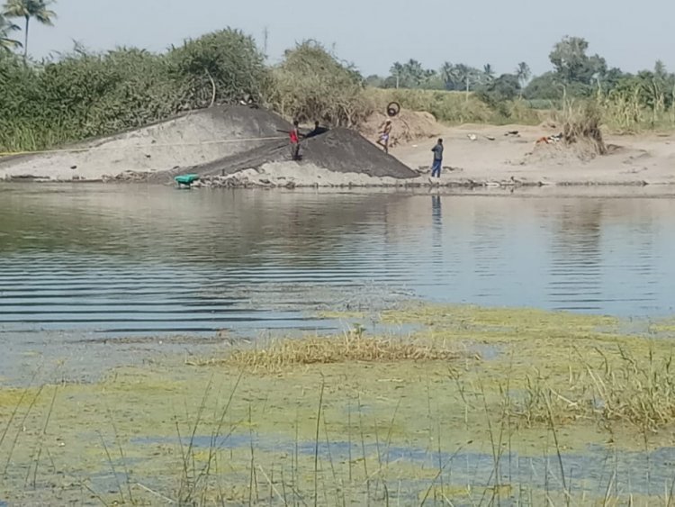 शूर आंम्ही वाळूवाले आंम्हाला काय कुणाची भीती ,डिग्रस नांदूर शिवारात वाळूतस्करी तेजीत .