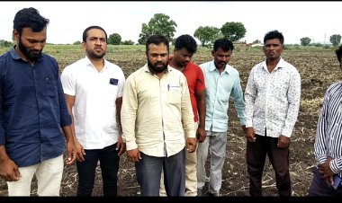 खेडले परमानंद शिवारात अज्ञात व्यक्तीने जाणीवपूर्वक तणनाशकाची फवारणी करून चार एकर कपाशीची वाट लावली.