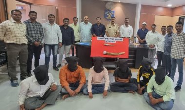 बहुमूल्य शोभेच्या वस्तू हस्तिदंत ,औषधे यांची तस्करी करणारी टोळी वाहतूक करणाऱ्या साधनांसह स्थानिक गुन्हे शाखेकडून जेरबंद.