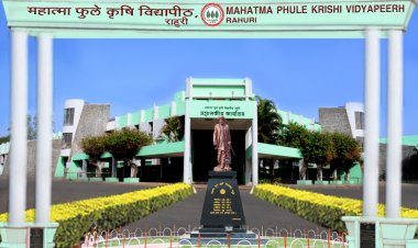 काय विद्यापीठ काय अतिक्रमण सगळं काही बोगसच चाललय अतिक्रमण अधिकाऱ्यांच्या खिशातच शिजतय ....