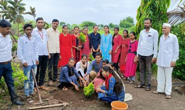 चाइल्ड इंग्लिश करियर स्कूल सलबतपूर् मध्ये वृक्षारोपण. अशा अनेक उपक्रमांनी परिसरात शाळेवर कौतुकाचा वर्षाव.