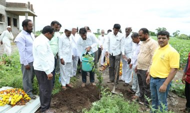 वडिलांची आठवण  राहावी म्हणून मा. मंत्री शंकरराव गडाख यांच्या हस्ते वडिलांच्या कबरीवर फळांचे झाड लावून हिवाळे कुटुंबांनी समाजापुढे ठेवला .