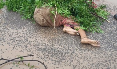 नगर - मनमाड रस्त्यावरून नागरिकांमध्ये तीव्र असंतोष, डिग्रस येथील महिलेचा अपघातात दुर्दैवी मृत्यू .