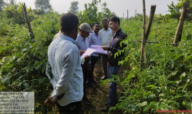 *महात्मा फुले कृषि विद्यापीठातील शास्त्रज्ञांच्या टोमॅटो उत्पादक शेतकर्यांच्या शेतावर भेटी व मागदर्शन* *राहुरी विद्यापीठ, दि. 2 डिसेंबर, 2022*