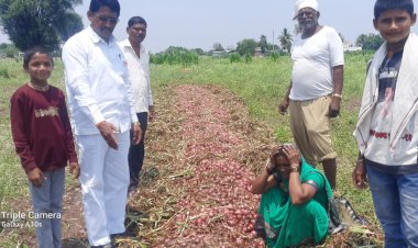 शासनाने कांदा उत्पादक शेतकऱ्यांचे तातडीने पंचनामे करून मदत करावी सुरेशराव लांबे पाटील.