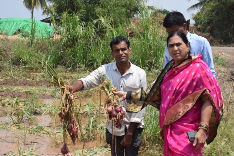 शेवगाव तालुक्यातील पश्चिम भागात अतिदृष्टी मुळे झालेल्या पिकाच्या नुकसानीची पाहणी केली सौ.हर्षदा ताई काकडे