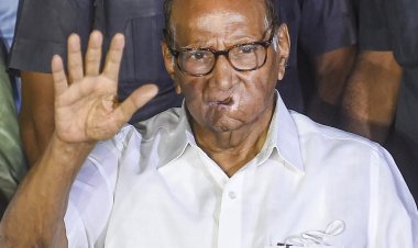 एनसीपी की अहम बैठक आज, एनसीपी के अगले अध्यक्ष के नाम का हो सकता है एलान