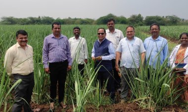 डॉ.तानाजी नरोटे यांची पाडेगाव ऊस संशोधन केंद्राला भेट .