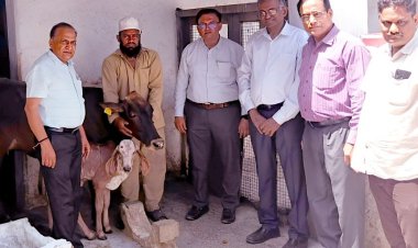 देशी गाईंच्या उच्च वंशावळीचे जतन व संवर्धन करण्यासाठी आय. व्ही. एफ .तंत्रज्ञान प्रचलित करणे गरजेचे -संशोधन संचालक डॉ. सुनील गोरंटीवार.