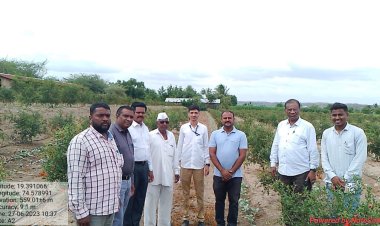 हॉर्टसॅप अंतर्गत कृषी शास्त्रज्ञांच्या डाळिंब उत्पादक शेतकऱ्यांच्या शेतावर भेटी व मार्गदर्शन- राहुरी विद्यापीठ