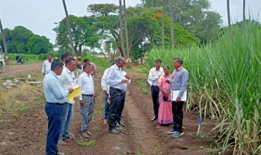 संशोधन संचालक डॉ . सुनिल गोरंटीवार यांची पाडेगाव ऊस संशोधन केंद्रास भेट .