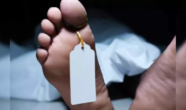 उत्तर प्रदेश सदमा: आदमी ने पत्नी और दो नाबालिग बेटियों की पत्थर से पीट-पीटकर हत्या कर दी