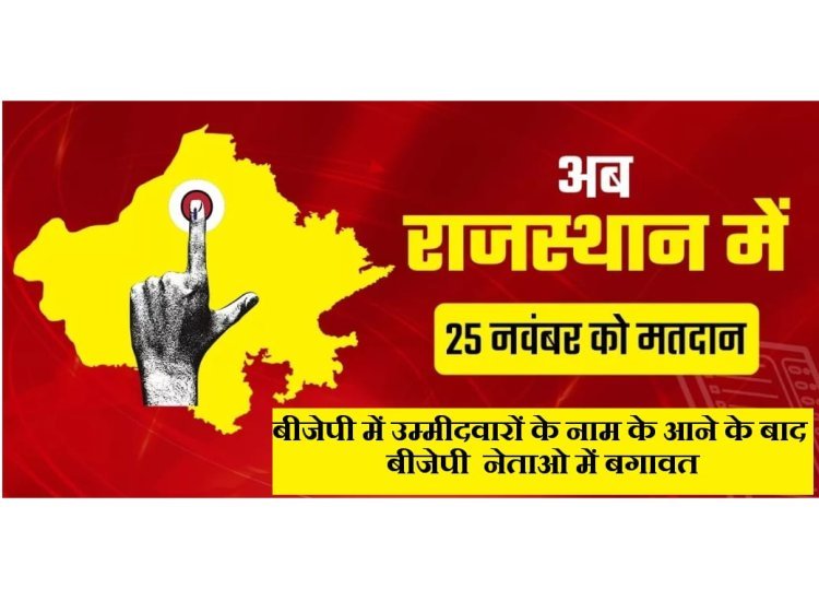 राजस्थान विधान सभा चुनाव में बीजेपी नेताओ का बगावत