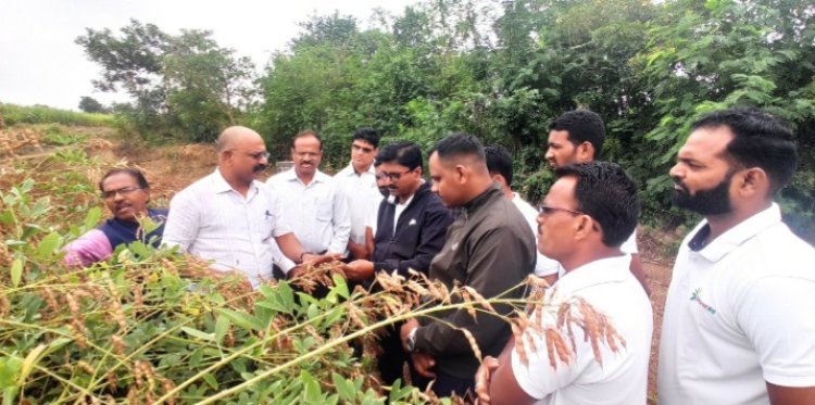 प्रसारीत तंत्रज्ञानाचा वेळेवर अवलंब केल्यास तुरीचे उत्पन्न दिडपट - प्रमुख शास्त्रज्ञ डॉ . नंदकुमार कुटे .