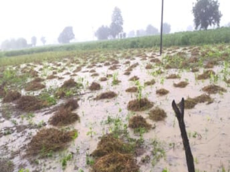 नुकसानग्रस्त शेतकऱ्यांना तात्काळ मदत करा - डुंगरवाल यांची महसूलमंत्री विखे पाटील यांच्या कडे  मागणी.