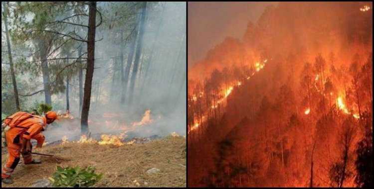 उत्तराखंड के जंगल में लगी आग:- 4 गिरफ्तार, मुख्यमंत्री ने दिए सख्त कार्रवाई के आदेश।