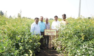 भारतीय कृषि अनुसंधान परिषदेच्या शेतकरी प्रथम प्रकल्पाच्या प्रात्यक्षिकांना विद्यापीठातील शास्त्रज्ञांच्या भेटी .