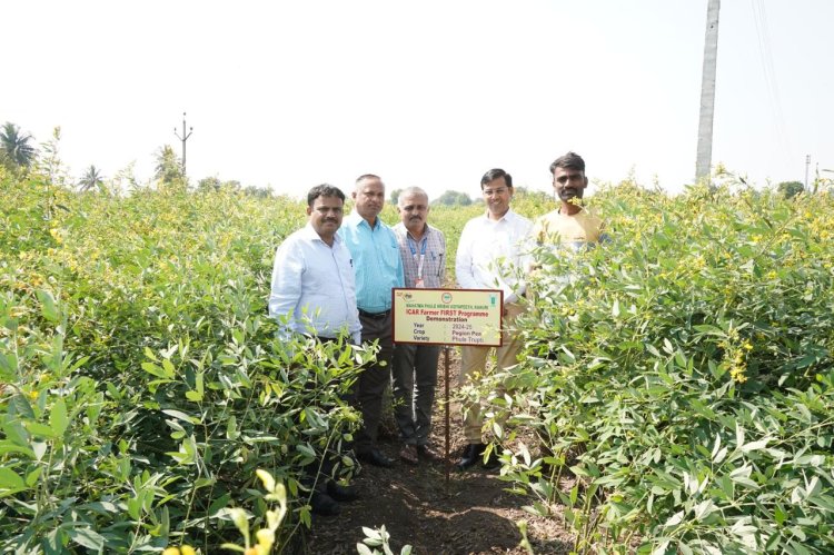 भारतीय कृषि अनुसंधान परिषदेच्या शेतकरी प्रथम प्रकल्पाच्या प्रात्यक्षिकांना विद्यापीठातील शास्त्रज्ञांच्या भेटी .