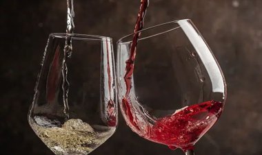 क्या रेड वाइन सचमुच कैंसर कम करती है? रिसर्च में आया चौंकाने वाला दावा