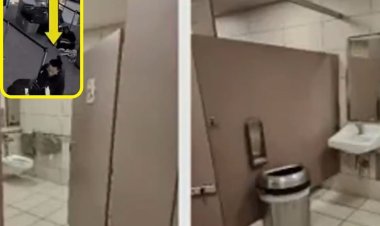 प्लेन में चढ़ने के लिए महिला ने हदें की पार, कुत्ते को टॉयलेट में डूबोई और...