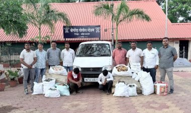 सुगंधी तंबाखु, पानमसाला विक्रीच्या उद्देशाने वाहतूक करणारे दोन आरोपी 8,13,927 रु . किंमतीच्या मुद्देमालासह जेरबंद, स्थानिक गुन्हे शाखेची धडाकेबाज कारवाई .