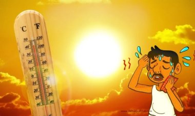 राज्यात उष्णतेचा कहर, अहील्यांनगरसह दहा जिल्ह्यात पुढील काही दिवस यलो अलर्ट : पारा ४१ ते ४५ अंश सेल्सिअस च्यां पुढे.