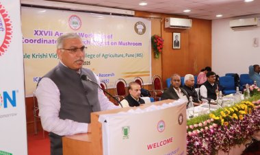 अळिंबीचा आहारामध्ये सुपरफुड म्हणून समावेश करणे गरजेचे - सहाय्यक महासंचालक डॉ. सुधाकर पांडे