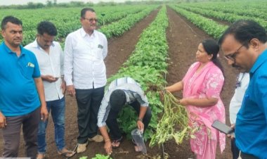 कृषि विद्यापीठातील शास्त्रज्ञांचे पाण्याचा कार्यक्षम वापर व कीडनियंत्रण या विषयी शेतकऱ्यांना मार्गदर्शन