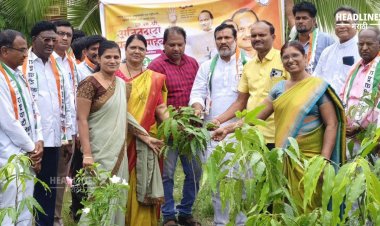 मा. उपमुख्यमंत्री अजित पवार यांच्या वाढदिवसानिमित्त वैजापूर शहरातील करुणा निकेतन माध्यमिक व उच्च माध्यमिक शाळा आणि करुणा माता चर्च स्टेशन रोड परिसरात वृक्षारोपण कार्यक्रमाचे आयोजन करण्यात आले.