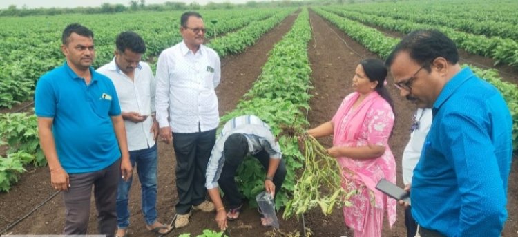 कृषि विद्यापीठातील शास्त्रज्ञांचे पाण्याचा कार्यक्षम वापर व कीडनियंत्रण या विषयी शेतकऱ्यांना मार्गदर्शन