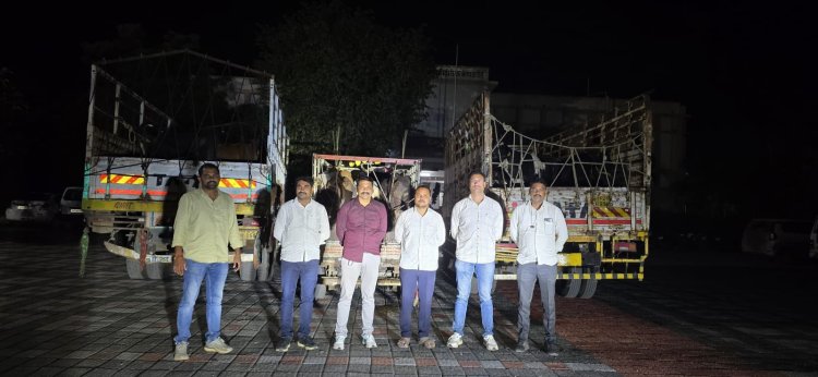 कत्तलीच्या उद्देशाने डांबून ठेवलेली १६.८० लाख रुपयांची गोवंश ताब्यात.