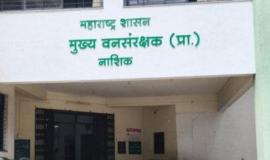 वन अधिकाऱ्यांवर गैरव्यवहाराचा गंभीर आरोप,वन विभागातील भ्रष्टाचाराच्या चौकशीची मागणी