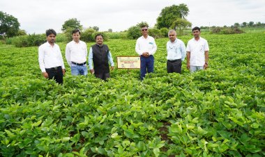 विद्यापीत उत्पादित निविष्ठांना शेतकऱ्यांनी प्राधान्य द्यावे - विस्तार शिक्षण संचालक डॉ. गोरक्ष ससाणे