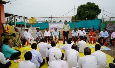 राहुरी तालुकयातील कृषी विद्यापीठ अंतर्गत सडे येथे कापूस पीक शिवारफेरी व शेतकरी मेळावा संपन्न