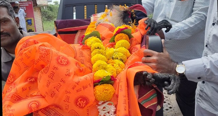 हनुमंत रुपी  वानराचा बालाजी देडगाव येथे अकाली मृत्यू झाल्याने जड अंतकरणाने अंत्यसंस्कार.