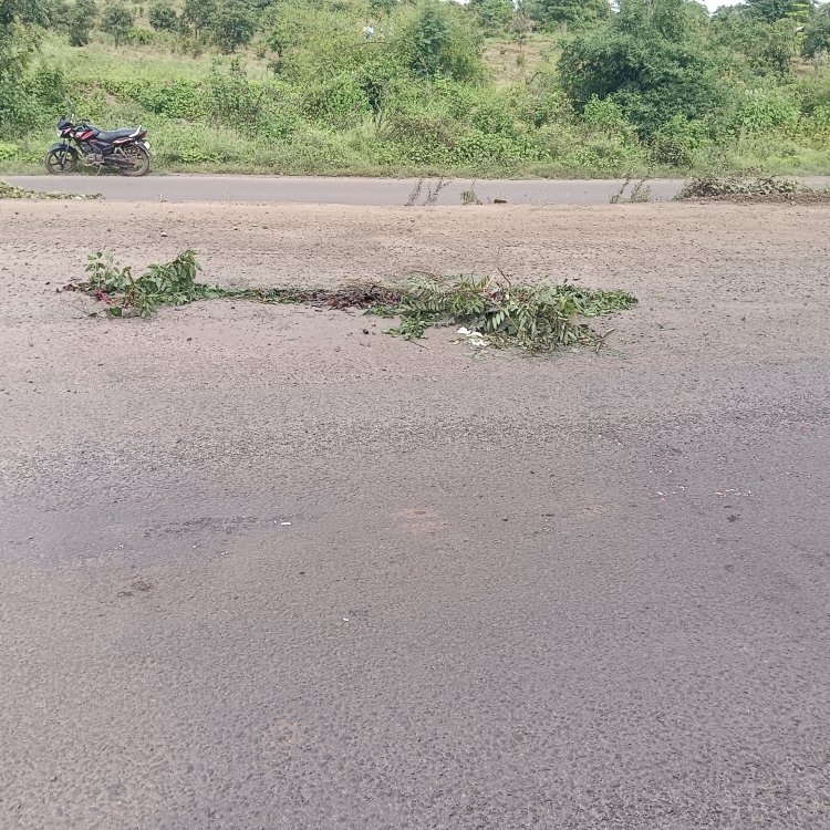 *नगर -मनमाड राष्ट्रीय महामार्ग हा सध्या बनला मृत्युचा महामार्ग यावर आज पुन्हा एकाचा बळी.*