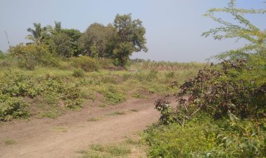 जलसंपदा मंत्र्यांच्या जिल्ह्यात मुळा पाटबंधारे विभागाने दलित व आदिवासींच्या शेतीकडे जाणारा शिव रस्ता अडवला .