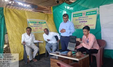 *राहुरी कृषी विद्यापीठातील शास्त्रज्ञांचे टोमॅटो पिकावर मार्गदर्शन*