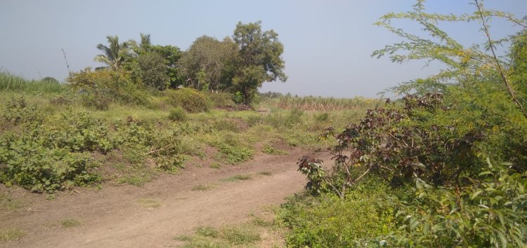 जलसंपदा मंत्र्यांच्या जिल्ह्यात मुळा पाटबंधारे विभागाने दलित व आदिवासींच्या शेतीकडे जाणारा शिव रस्ता अडवला .