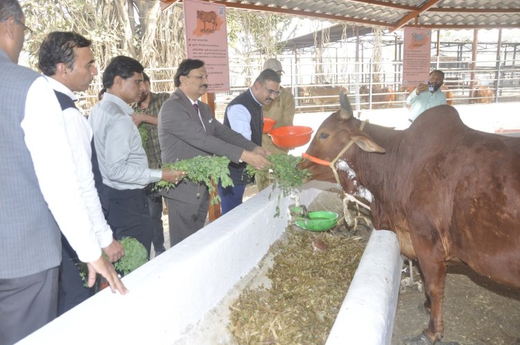 *आधुनिक काळात शेती क्षेत्रामध्ये अद्यययावत तंत्रज्ञानाचा प्रभावी अवलंब होणे आवश्यक - राजभवण सचिव डॉ. प्रशांत नारनवरे.*