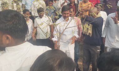 दशक्रिया विधी निमित्त तमनरआखाडा येथे वृक्षारोपणाचा कार्यक्रम संपन्न, शिवसेनेचे युवा नेते राजूभाऊ शेटे पाटील यांच्या हस्ते वृक्षारोपण करण्यात आले