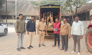 राहुरी पोलिसांची उल्लेखनीय कामगिरी कत्तलीसाठी जाणाऱ्या गाईंची केली सुटका