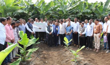 केळी संशोधन केंद्र, जळगाव येथे केळी दिवस व शिवार फेरी कार्यक्रम उत्साहात संपन्न