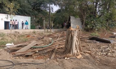 राहुरी तालुका अंतर्गत फॉरेस्ट ऑफिसमधे च वृक्षतोड आणि विक्री झाल्याचा प्रकार आला उघडीकस