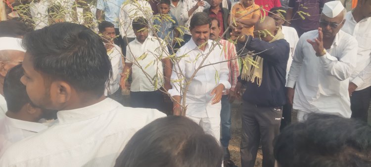 दशक्रिया विधी निमित्त तमनरआखाडा येथे वृक्षारोपणाचा कार्यक्रम संपन्न, शिवसेनेचे युवा नेते राजूभाऊ शेटे पाटील यांच्या हस्ते वृक्षारोपण करण्यात आले
