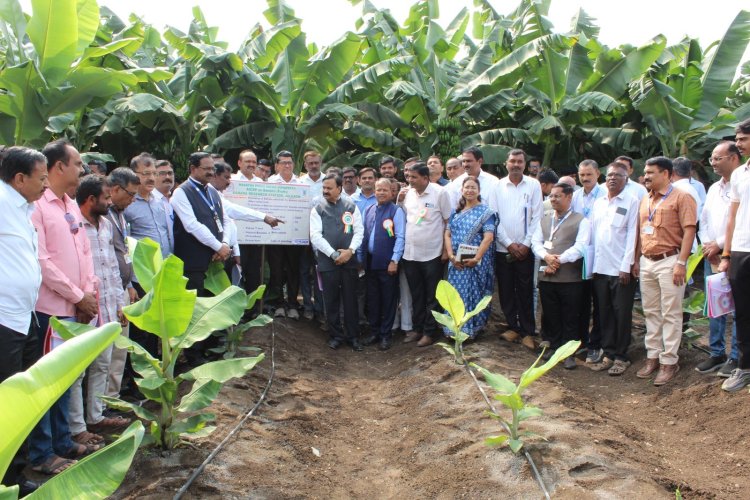 केळी संशोधन केंद्र, जळगाव येथे केळी दिवस व शिवार फेरी कार्यक्रम उत्साहात संपन्न